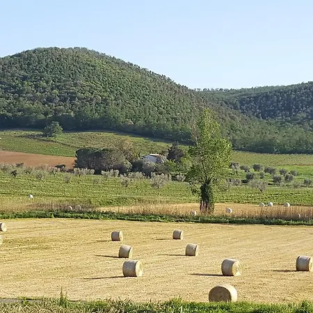 Cupido * Montiano (Tuscany)