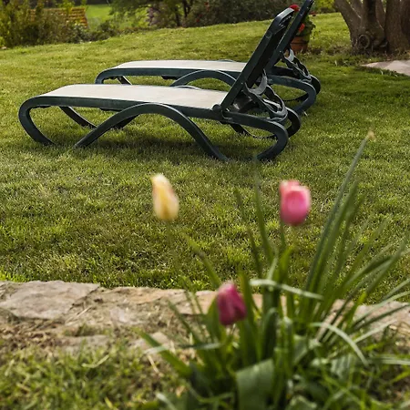 Agroturismo Cupido Montiano (Tuscany)