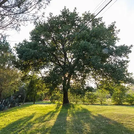 Cupido Agroturismo Montiano (Tuscany)