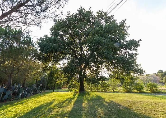 Cupido Gospodarstwo agroturystyczne Montiano (Tuscany)