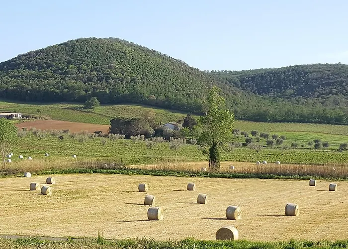 Cupido * Montiano (Tuscany)